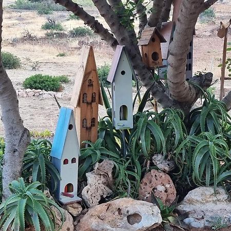 Domatia Me Thea Bed & Breakfast Elafonissos Exterior foto