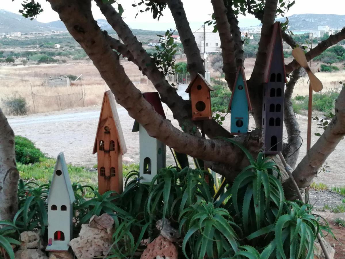 Domatia Me Thea Bed & Breakfast Elafonissos Exterior foto
